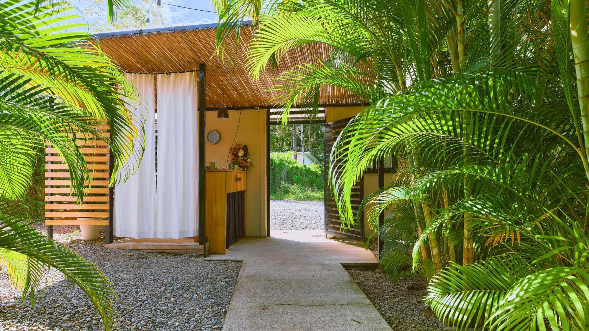 Hotel La Tica y la Gata Puerto Viejo de Talamanca Exterior foto